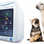 Veterinary Patient Monitor NiBp/Spo2/Temp/Ecg