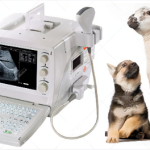 Veterinary Ultrasound machine model 9618(supplied with convex probe)